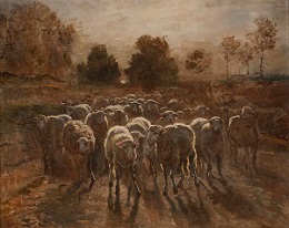 Flock of Sheep Approaching