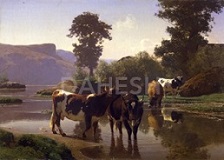 Cattle by a Lake