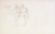 Orsel Studies Of Camels 400x238