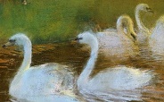 LaTouche The Lovers And The Swans 184x114